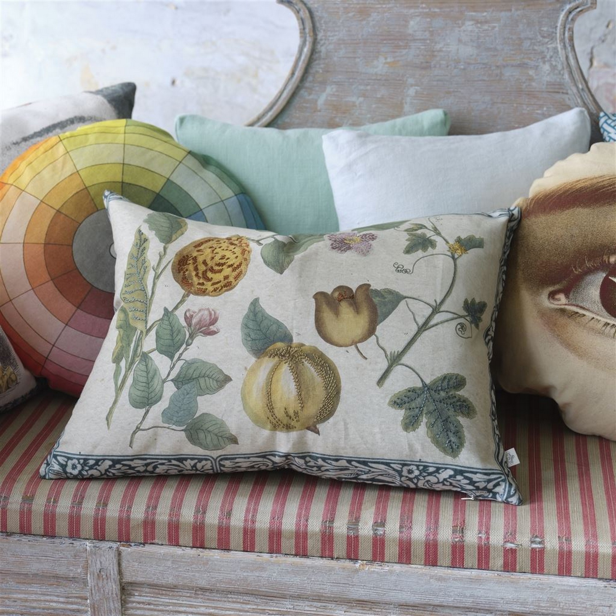 Lemons Botanical Cushion In Canvas By John Derian